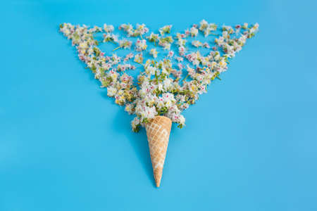 Sweet crispy waffle cup with chestnut flower on blue background. The petals are scattered in the...