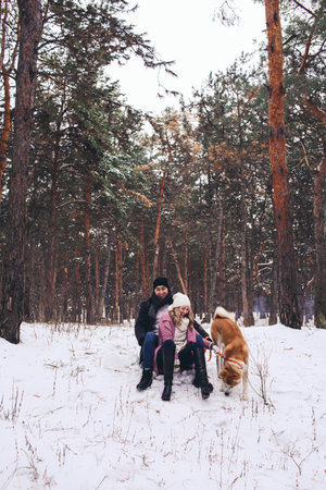 A couple and a dog are sledding in a winter forest. Fun walk with the dog in winter.の写真素材