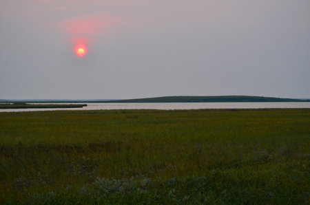 Sunset in the Yamal tundra on a summer eveningの写真素材