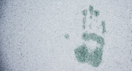 palm on winter glass texture, background, for website backgroundの写真素材