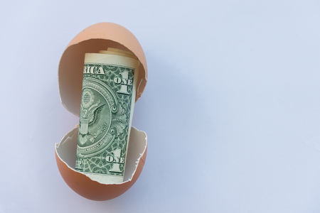 one dollar in an egg shell on white background closeup