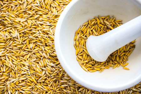 oats in mortar, crushing grain, wheat, rye, for spring sowing, healthy nutrition conceptの写真素材