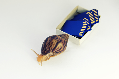 concept of low speed, snails and flash drives, speed in progressの写真素材
