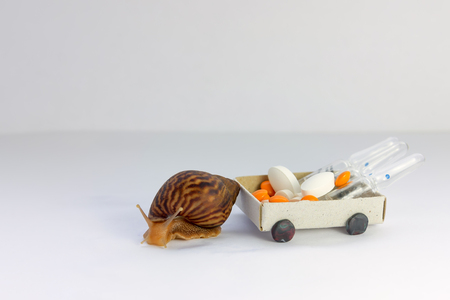 snails are being taken in a medicine trolley, the concept of slow medicineの写真素材