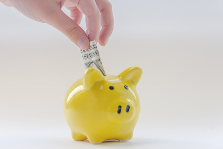 hand puts a dollar in the piggy bank. cash investments.の写真素材