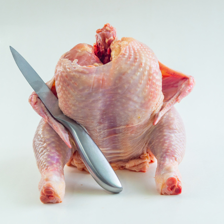 Fresh chicken carcass sitting on the table on a white background. chicken carcass with a knife.の写真素材
