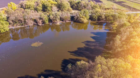 top view of the muddy pond swamp and lake with yellowed trees around the water mirror.の写真素材