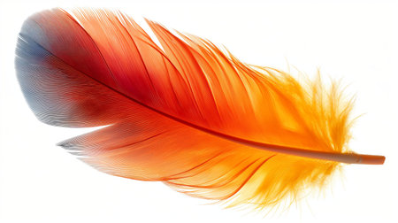 A vibrant orange feather, its colors fading into a delicate yellow, floats ethereally against a white background.の素材