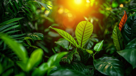 Morning sun filters through vibrant green foliage, illuminating the intricate patterns of leaves in a dense jungle.の素材