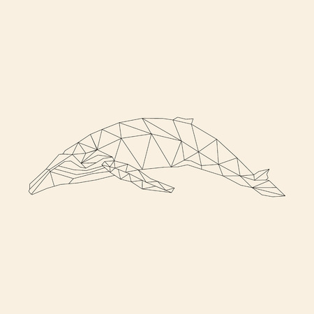Whale polygonal vector imageのイラスト素材