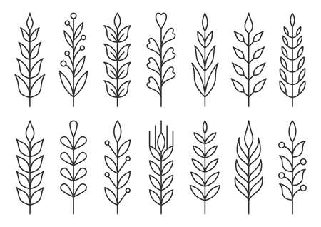 Leaf branch berry black line set. Plant tree bush brush. Holiday invitation postcard decorative element. Vintage graphic icon organic wild natural pattern. Eco print wedding design isolated on whiteのイラスト素材