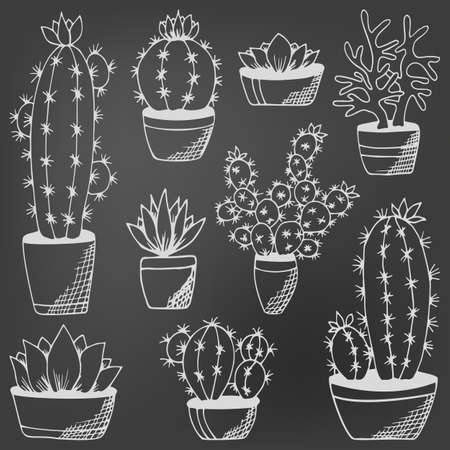 Cactus and succulents set on chalkboard. Hand drawn plants in flower pots. Black and white echeveria, rosula, aloe vera. Design for book, magazine, web, card. Vector illustrationのイラスト素材
