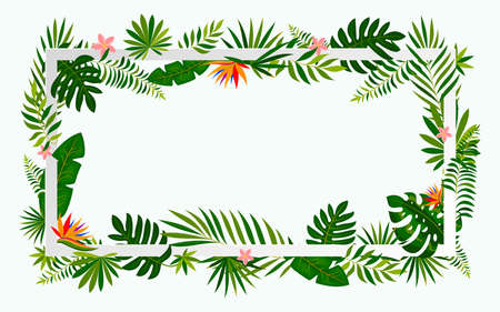 Tropical blossom leaf flower paper cut frame flat. Exotic light banner fresh plant design cosmetics ads background news board. Floral invitation wedding holiday travel love paradise island isolatedのイラスト素材
