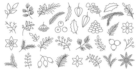 Winter autumn berry christmas tree spruce branch leaf hand drawn black line set. Poinsettia fir pine cone star anise wild rose viburnum festive garden plant flower decor card invitation sticker printのイラスト素材