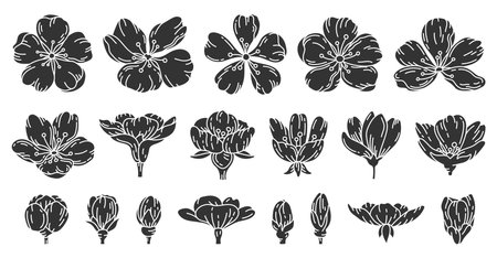 Sakura cherry flower blossom black silhouette set. Seasonal oriental decor stamp print glyph stencil plant blooming Chinese Japanese symbol hand draw element blooming spring summer botanical isolatedのイラスト素材
