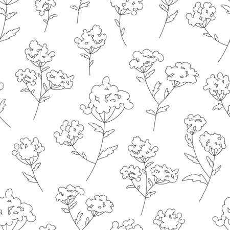 Wildflower bedstraw galium flower seamless pattern black line. Editable stroke garden herb floral branch fabric textile natural care cosmetic wallpaper cover web wrap print outline botany backgroundのイラスト素材