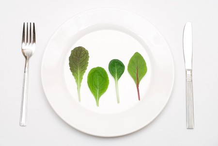 Salad leaf on the plateの写真素材