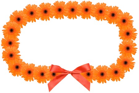 Blossom flower garland of the Barberton daisyの写真素材