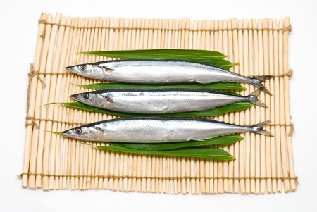 Three raw sauries on the Lunch matの写真素材