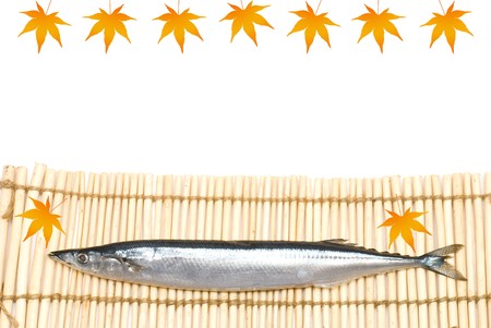 Saury on the Lunch mat with Maple pictureの写真素材