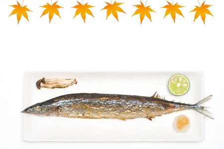 Grilled saury on the Plate with Maple pictureの写真素材