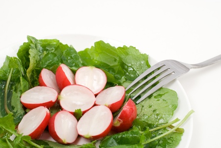 Red radish salad on the plateの写真素材