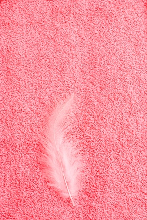 Texture of white feather on the pink towelの写真素材