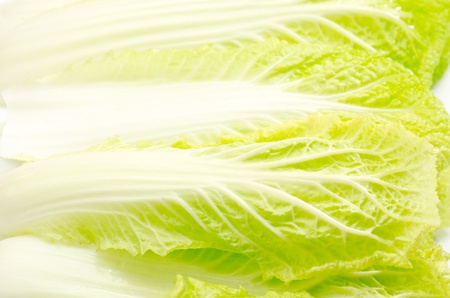 Laden chinese cabbage leaf on white backgroundの写真素材