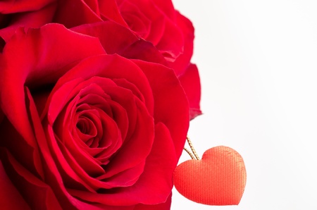 Close up of red rose and heart on white backgroundの写真素材