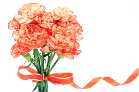 Standing orange carnations bouquet tied with a ribbon on white backgroundの写真素材