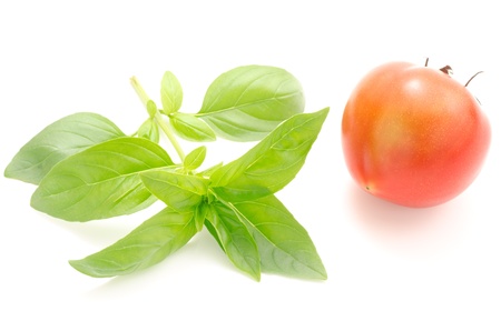 A line of basil plant and tomato on a white backgroundの写真素材