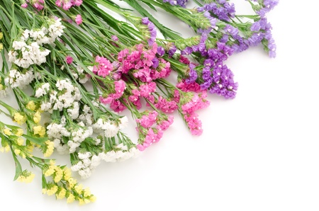Wavy leaf sea lavender flowers lined up diagonally in the upper left cornerの写真素材