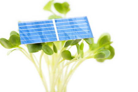 Solar cell on the radish sprouts in front of white