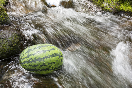 Watermelon cooling in fast flowing of brookの写真素材