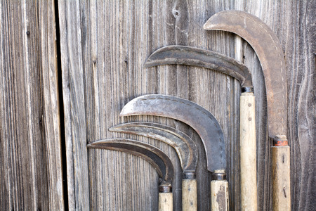 Lined long sickles leaned against the wooden wallの写真素材