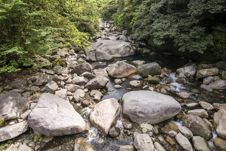 River with lots of rocks beside green forestの写真素材
