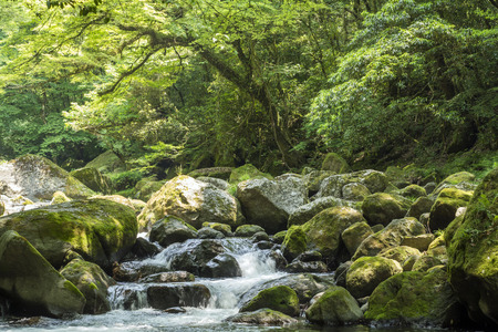 Flowing brook descends through among a lot of stone stepsの写真素材