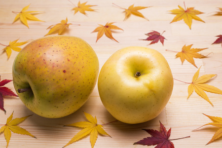 Two red apples and autumn leaves on a wood tableの写真素材
