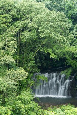 Waterfall surrounded by bright green forest in vertical compositionの写真素材