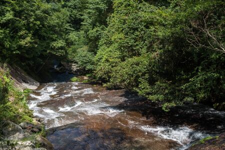 Sharrow river flowing down on a bedrock slope under green forest