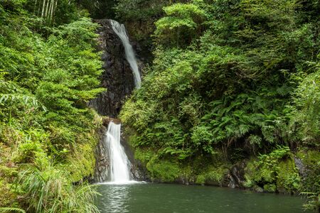 Two stage narrow white waterfall surrounded by bright green forestの写真素材