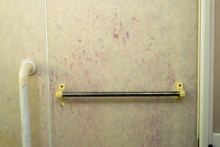 Resin bathroom wall with red purple Rhodotorula breedingの写真素材