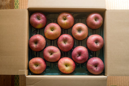 Several red apples in an orderly cardboard boxの写真素材