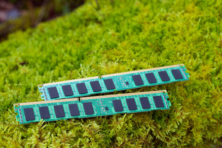 Two computer memories on a green mossの写真素材