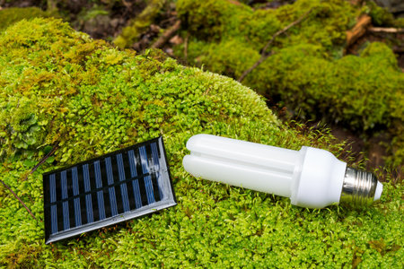 LED light bulb and solar panel on green moss