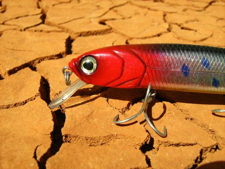 beautiful fishing lure