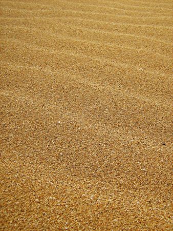sandの写真素材