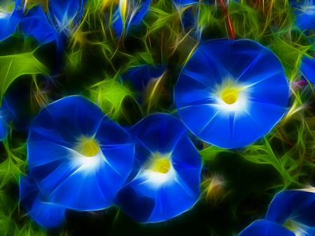colorful backgroundの写真素材