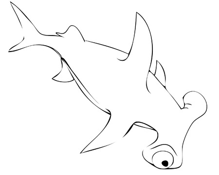 sharkのイラスト素材