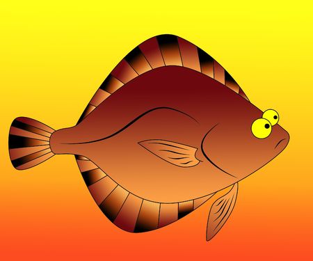 colorful flounder